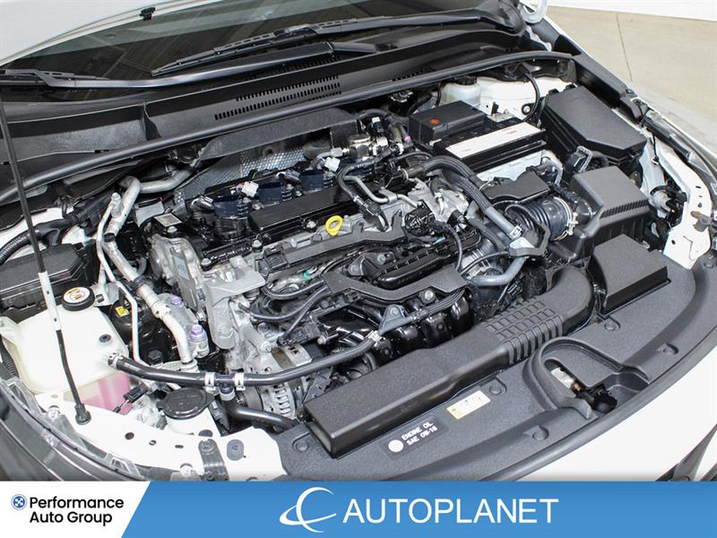 toyota Corolla à hayon 2019 - 14