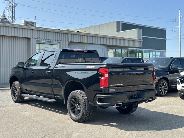 chevrolet Silverado 1500 2024 - 19