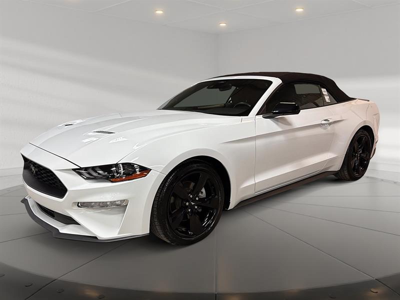 ford Mustang 2022 - 2