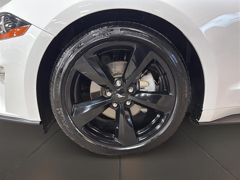 ford Mustang 2022 - 26