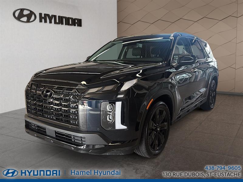 hyundai Palisade 2023 - 5