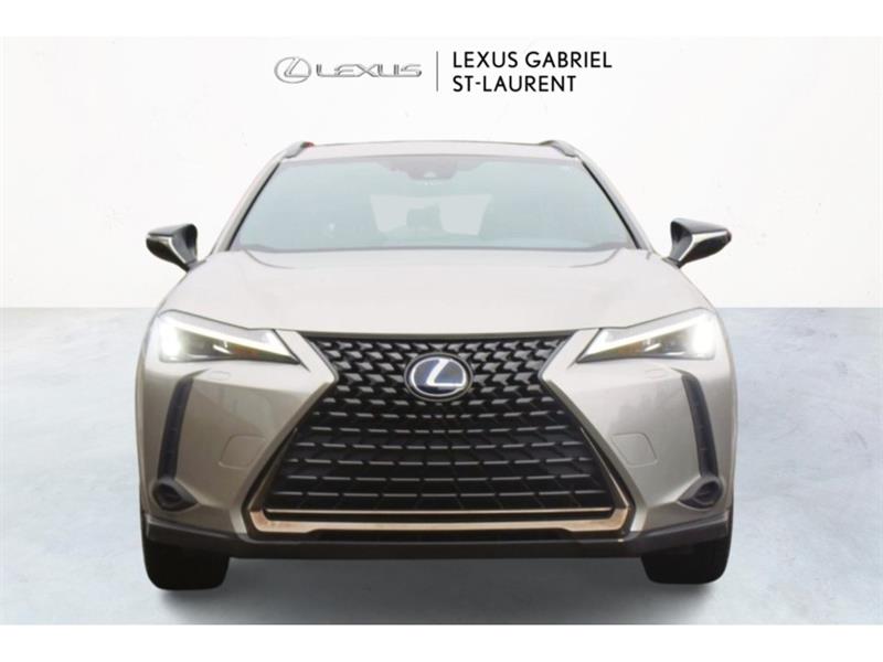 lexus UX 250H 2021 - 2