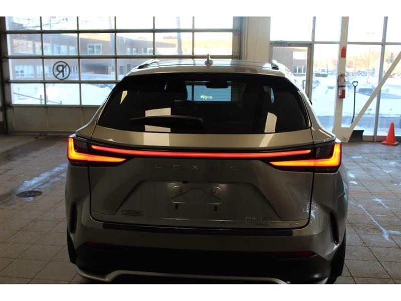 lexus NX 350 2022 - 7