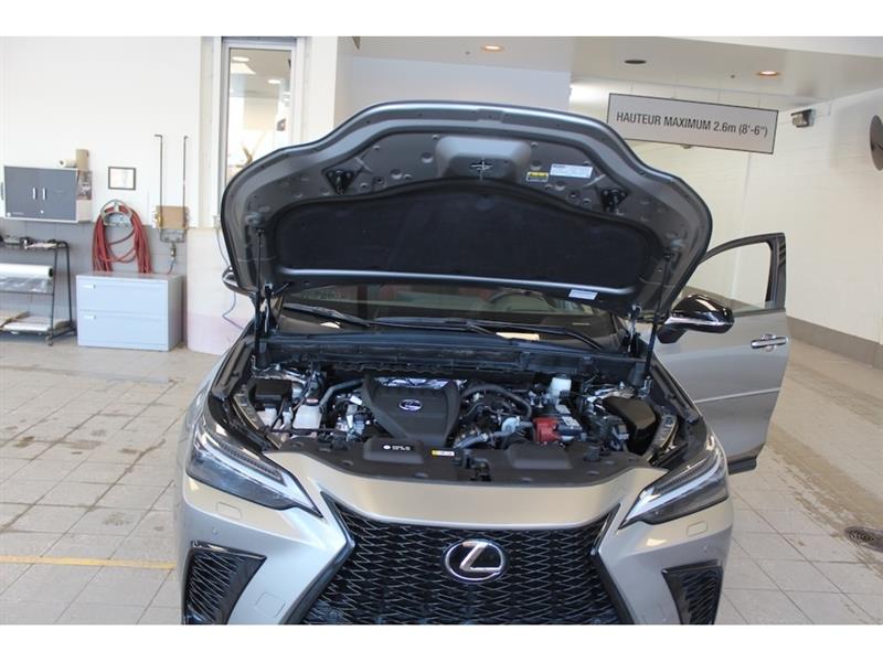 lexus NX 350 2022 - 22
