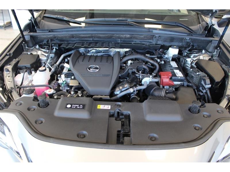 lexus NX 350 2022 - 23