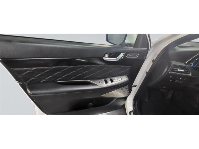 hyundai Palisade 2021 - 16