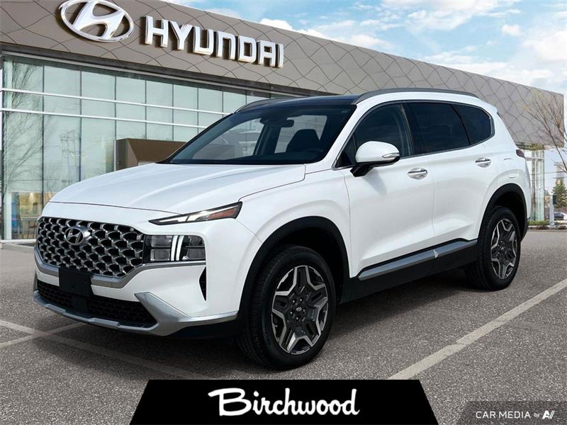 hyundai Santa Fe hybride 2023