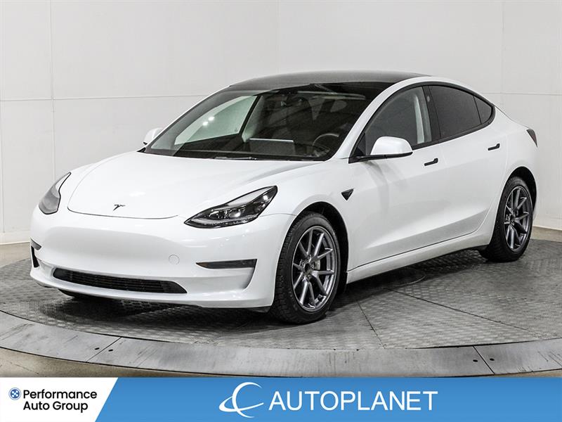 tesla Model 3 2022