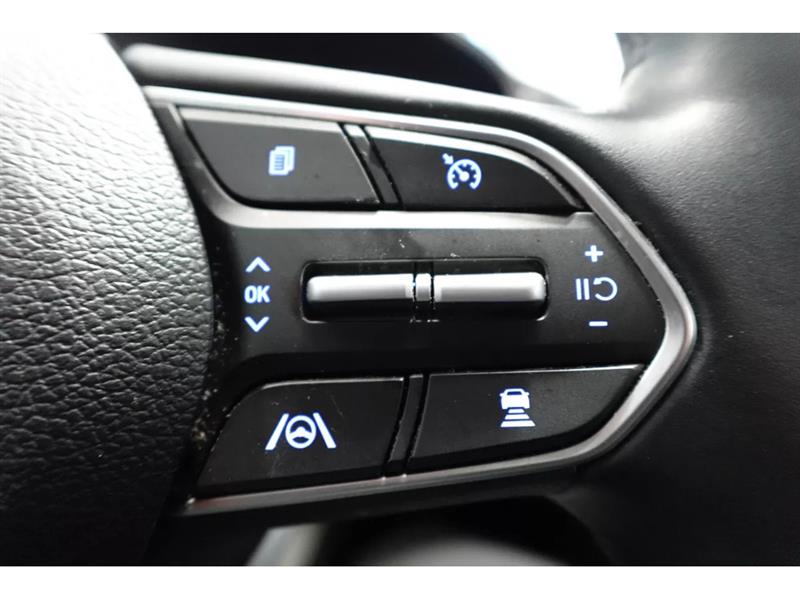 hyundai Santa Fe 2023 - 13