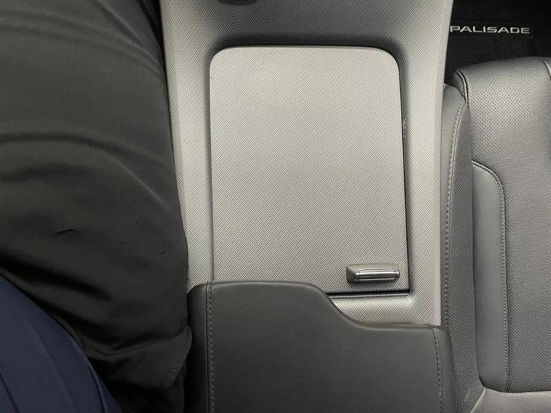 hyundai Palisade 2024 - 19