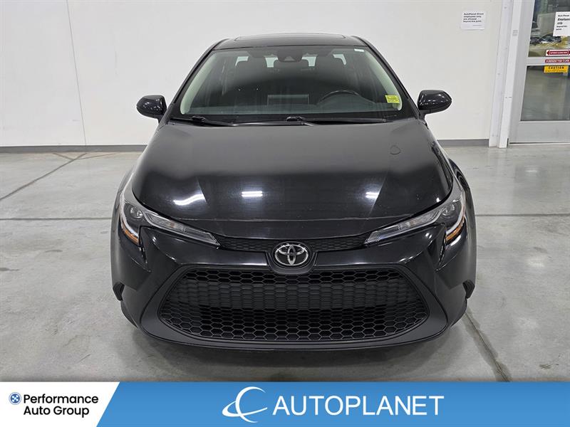 toyota Corolla 2021 - 2