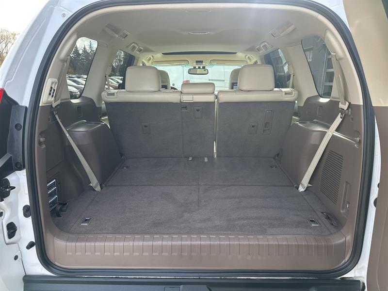 lexus GX 460 2013 - 19