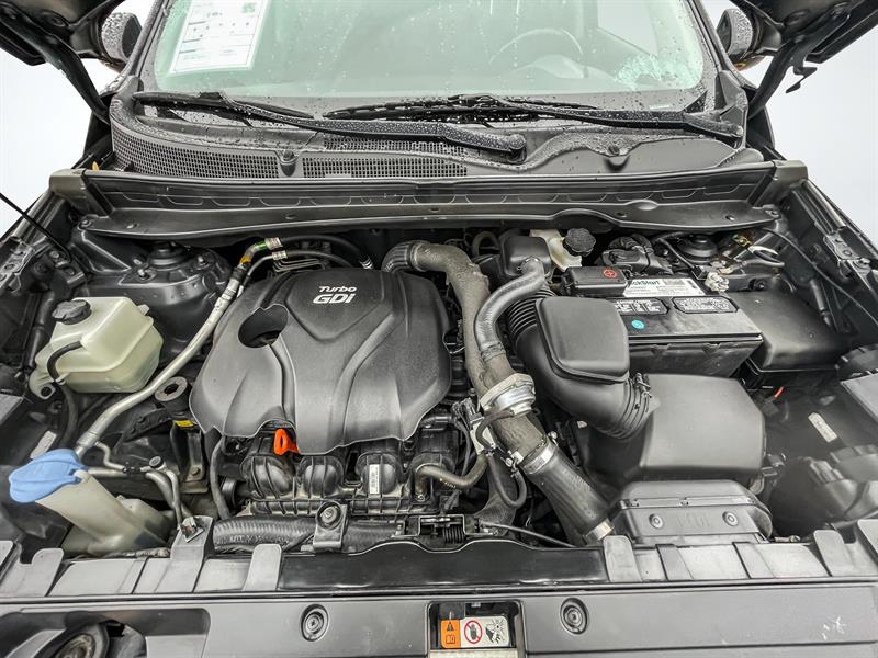kia Sportage 2014 - 19