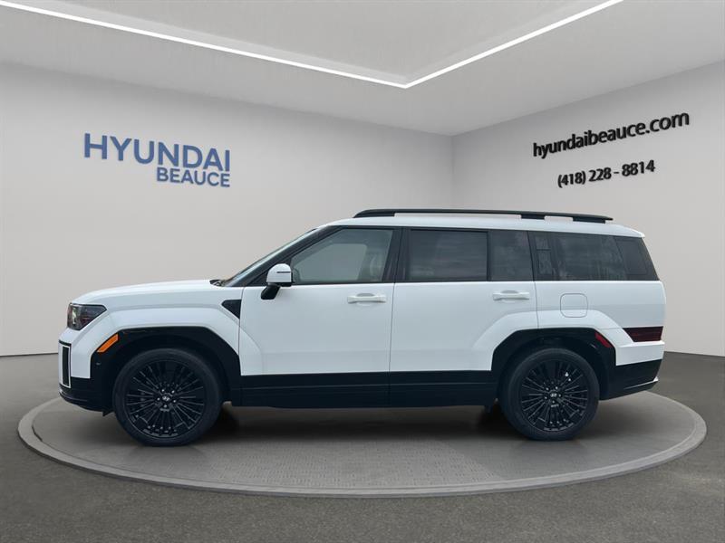 hyundai Santa Fe 2024 - 10