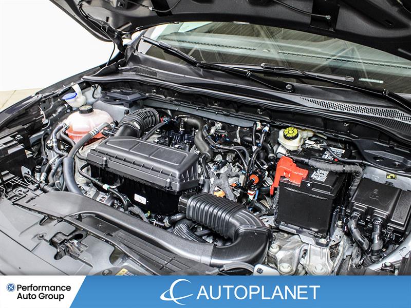 ford Escape 2023 - 15