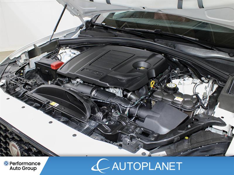 jaguar F-PACE 2023 - 12