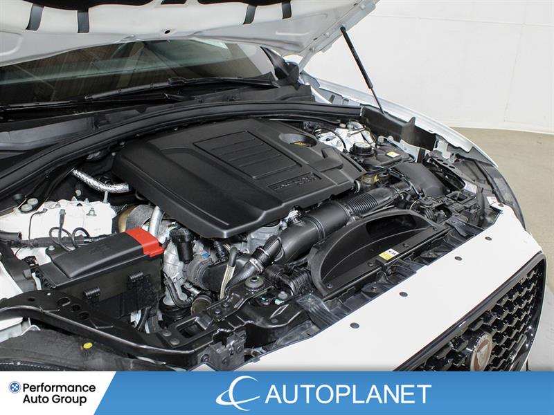 jaguar F-PACE 2023 - 14