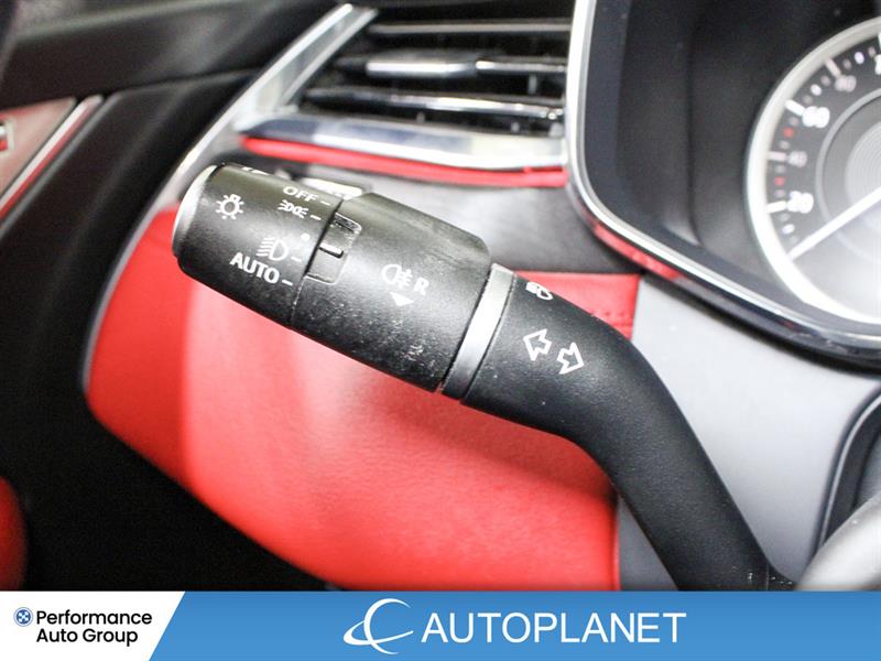 jaguar F-PACE 2023 - 28