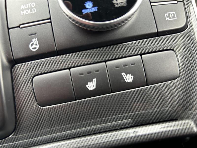 hyundai Santa Fe 2021 - 24