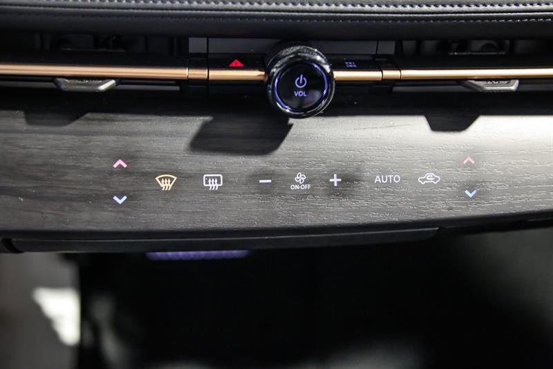 nissan ARIYA 2023 - 24