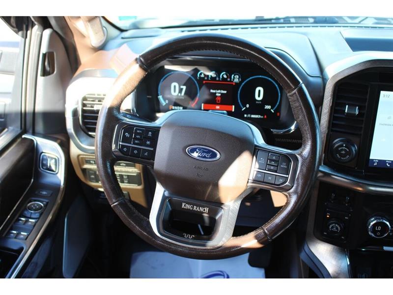 ford F-150 2021 - 14