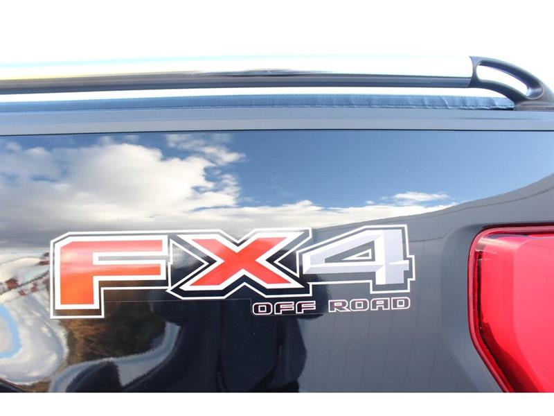 ford F-150 2021 - 53