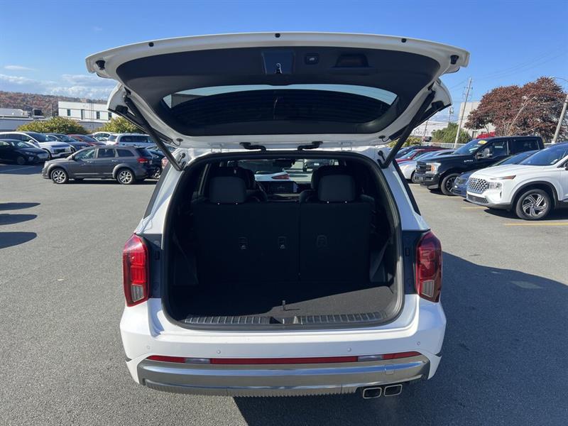 hyundai Palisade 2024 - 7