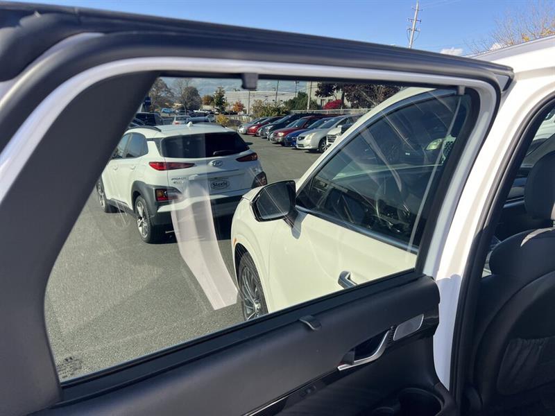 hyundai Palisade 2024 - 15