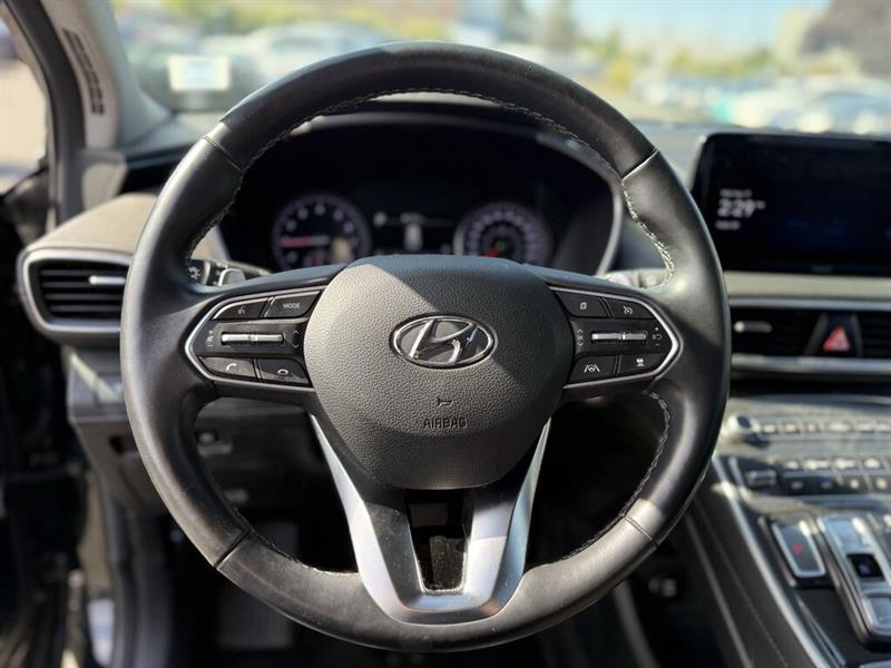 hyundai Santa Fe 2023 - 13
