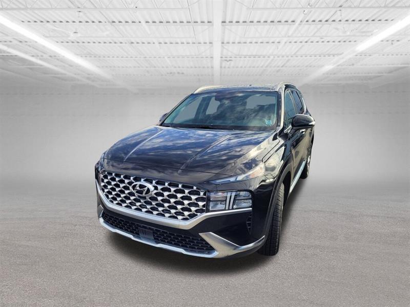 hyundai Santa Fe 2023 - 49