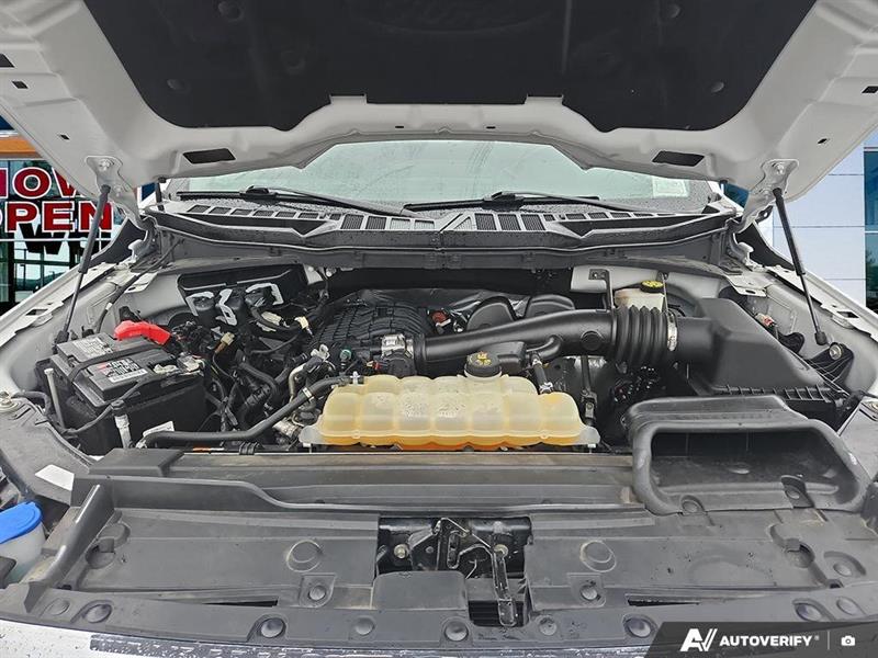 ford F-150 2022 - 10