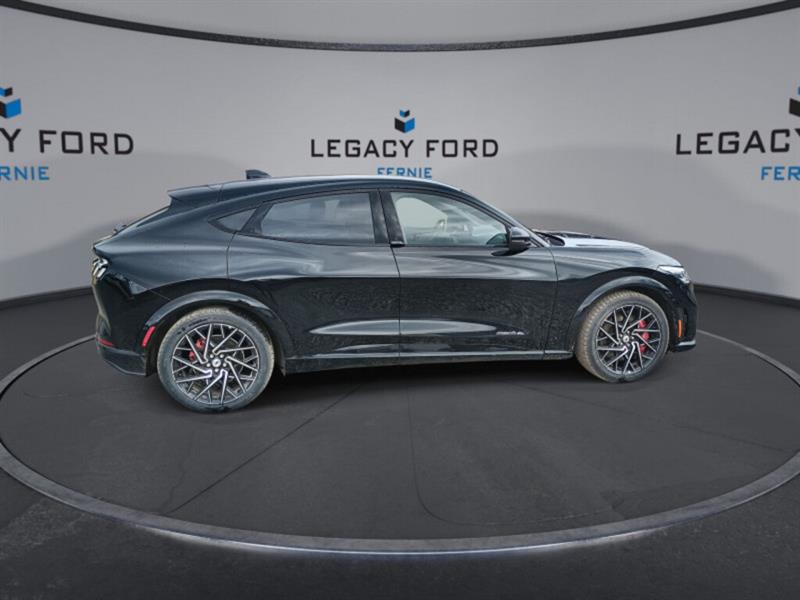 ford Mustang Mach-E 2022 - 9