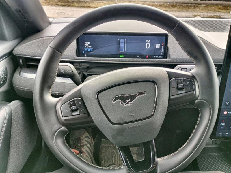 ford Mustang Mach-E 2022 - 11