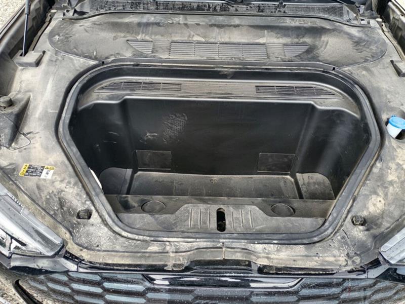 ford Mustang Mach-E 2022 - 17