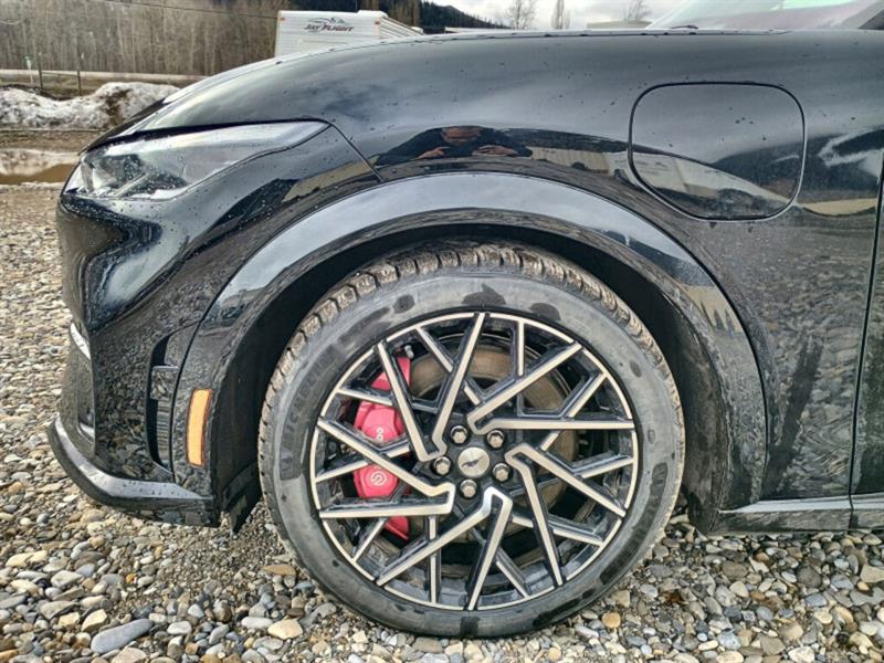 ford Mustang Mach-E 2022 - 18