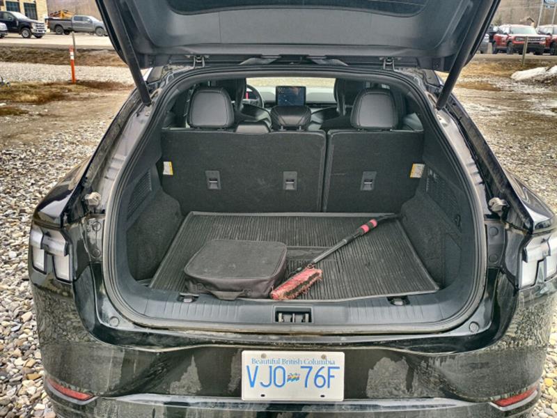 ford Mustang Mach-E 2022 - 20