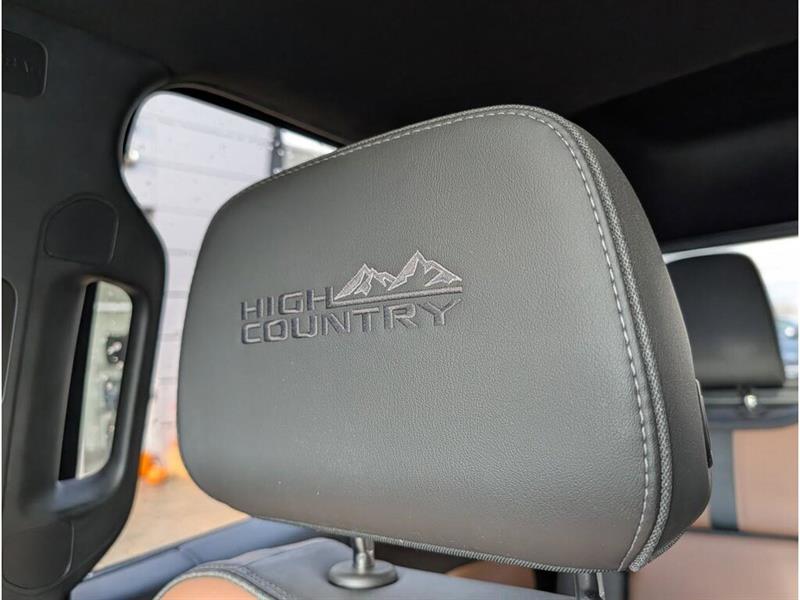 chevrolet Silverado 1500 2020 - 24