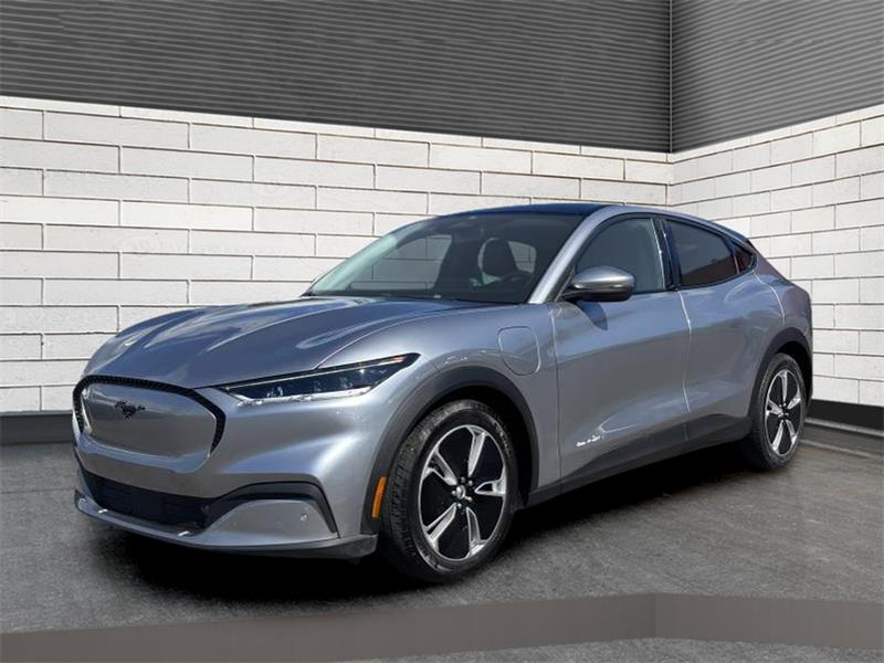 ford Mustang Mach-E 2021