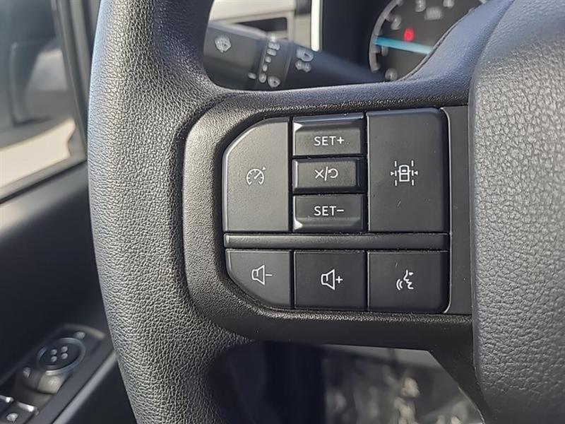 ford F-150 2023 - 28