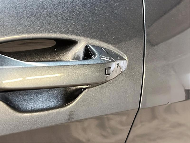 kia Sportage 2024 - 24