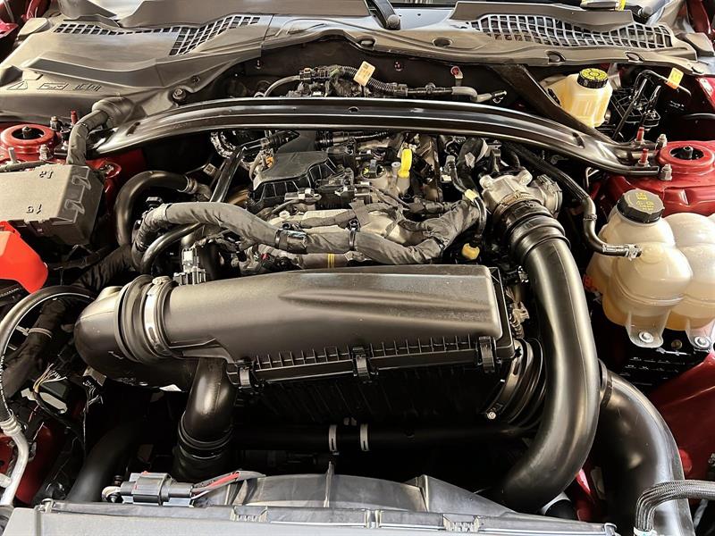 ford Mustang 2024 - 14