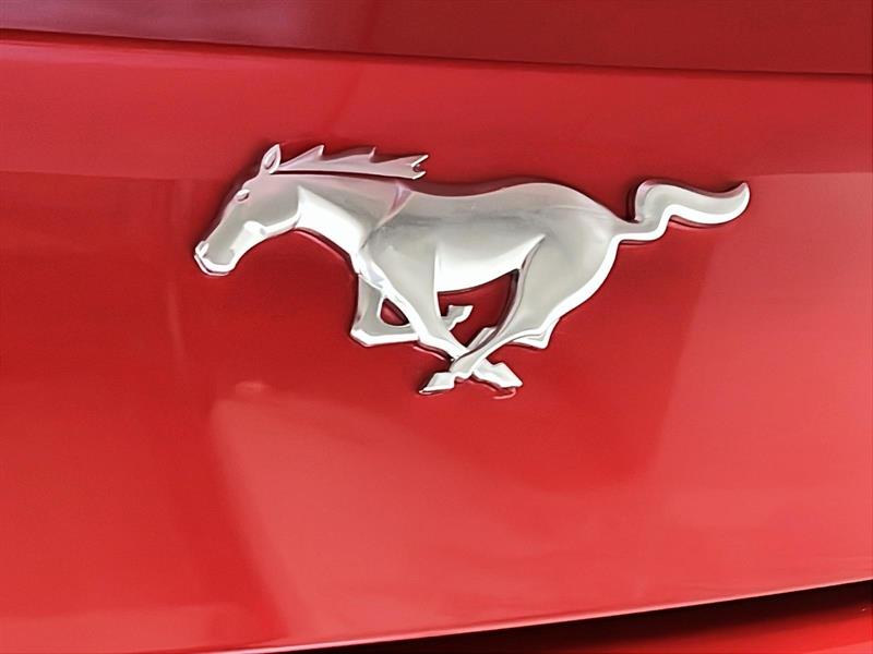 ford Mustang 2024 - 28