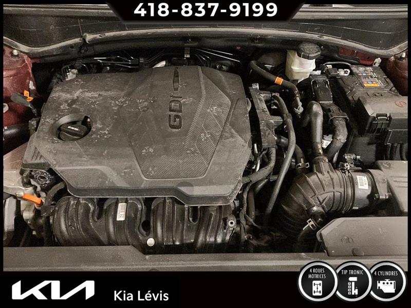 kia Sportage 2023 - 15