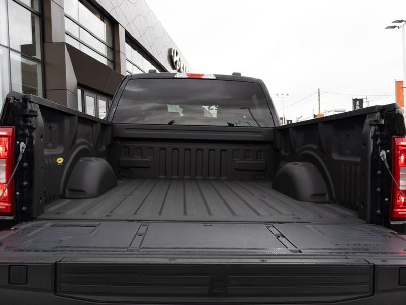 ford F-150 2023 - 11