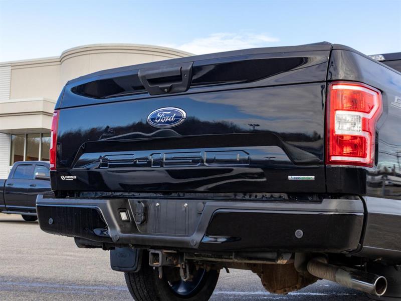 ford F-150 2020 - 11