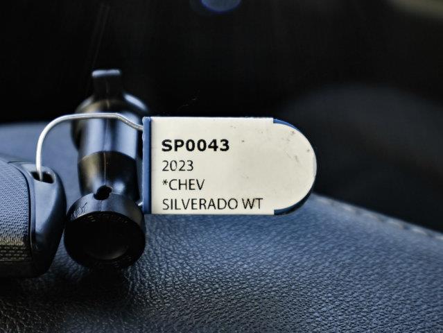 chevrolet Silverado 1500 2023 - 30