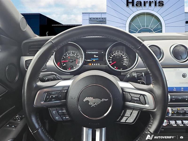 ford Mustang 2022 - 14