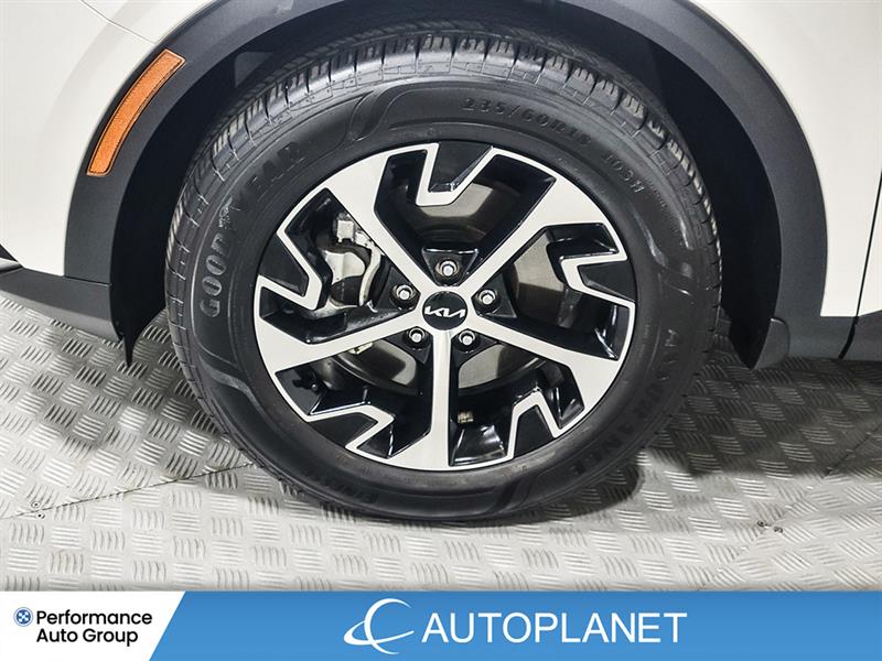 kia Sportage 2024 - 13