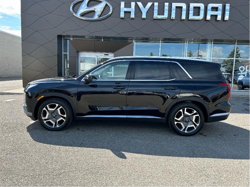hyundai Palisade 2024 - 8