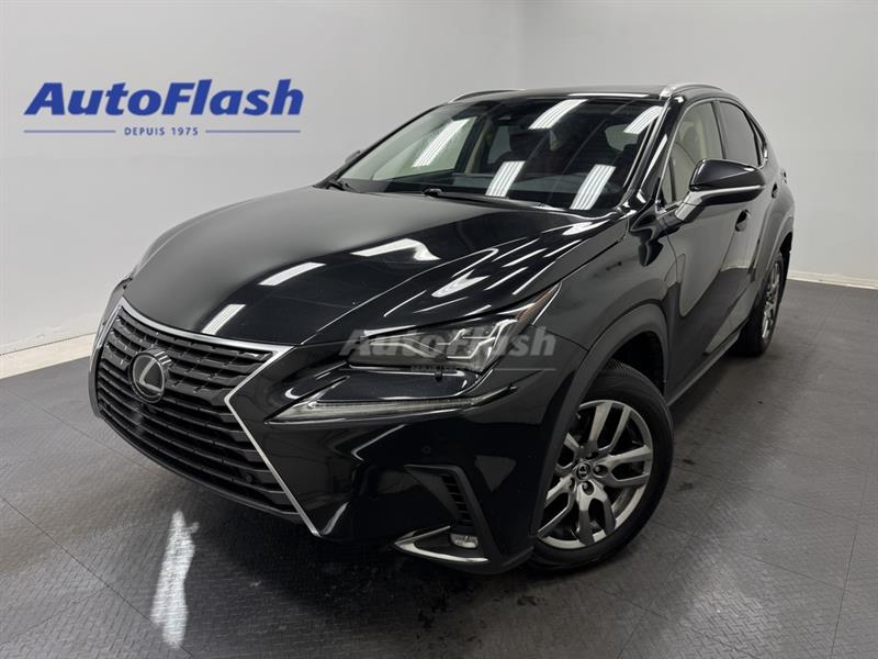 lexus NX 2020